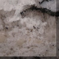 bianco romano21625close