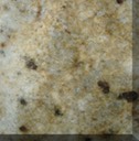 colonial cream17070-close